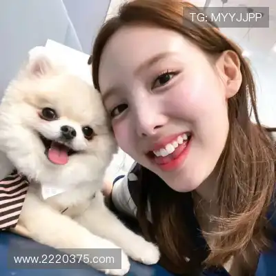 赵鸽